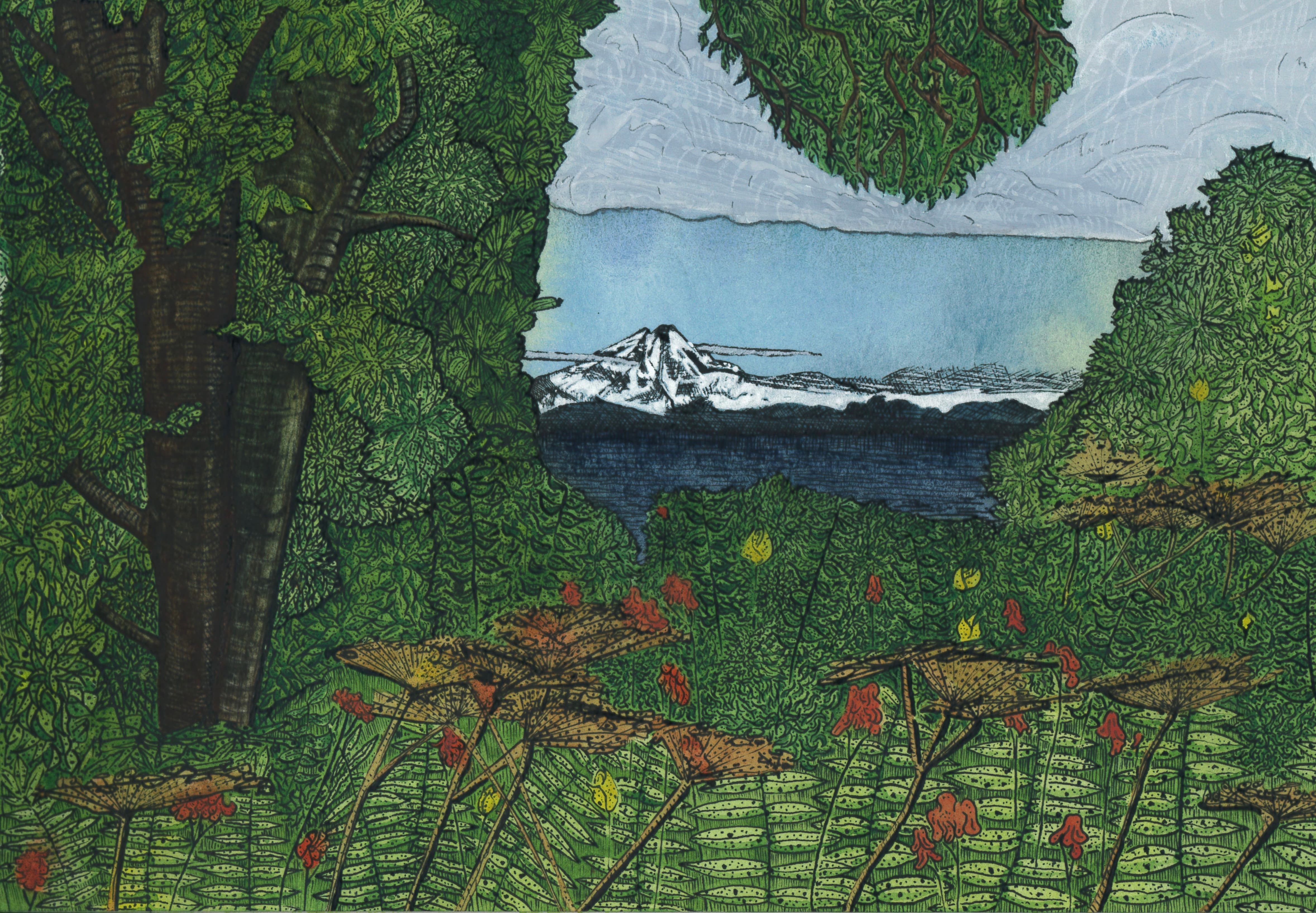 Redoubt Volcano, Ninilchik, Alaska, AK, ink, watercolor, works on paper